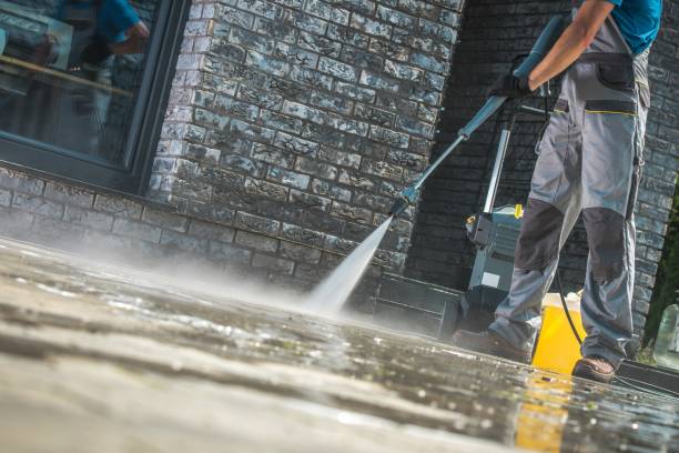Animal Enclosure Cleaning in Cherry Creek, CO